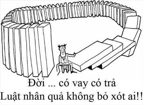 Tìm 1/2 của tôi