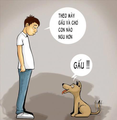 hẹn hò - tào tháo-Nam -Tuổi:24 - Độc thân-TP Hồ Chí Minh-Người yêu lâu dài