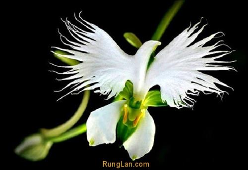hẹn hò - Long-Nam -Tuổi:23 - Độc thân-TP Hồ Chí Minh-Người yêu lâu dài