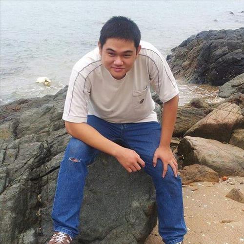 Mèo Mặp