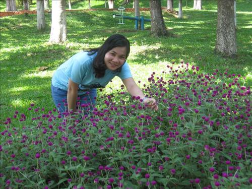 Hạnh Dung