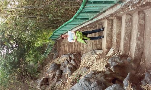 hẹn hò - Ngựa -Nam -Tuổi:29 - Độc thân--Người yêu lâu dài