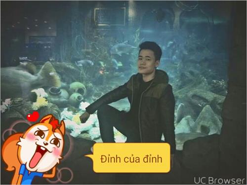 Tu Nguyen