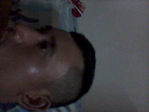 ut muoi