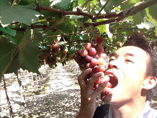 hẹn hò - Chidat_007-Nam -Tuổi:29 - Độc thân--Người yêu lâu dài
