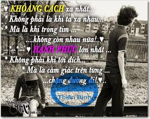 ngocthog