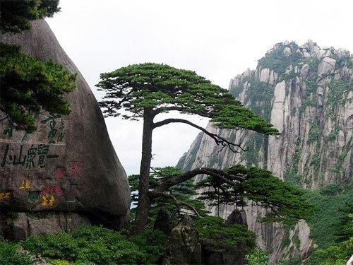 hẹn hò - Le duc tu-Nam -Tuổi:30 - Độc thân-TP Hồ Chí Minh-Người yêu lâu dài