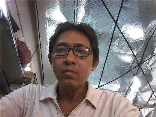 thanh bùi