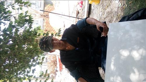 Phạm vũ linh 
