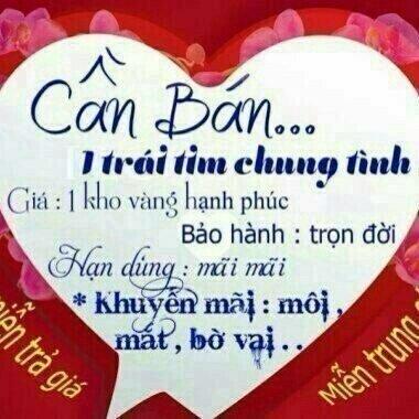 Hoang Van Le