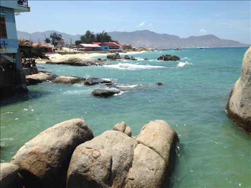 chuột