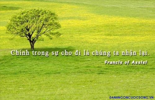 hẹn hò - Thang Pham-Nam -Tuổi:26 - Độc thân--Người yêu lâu dài