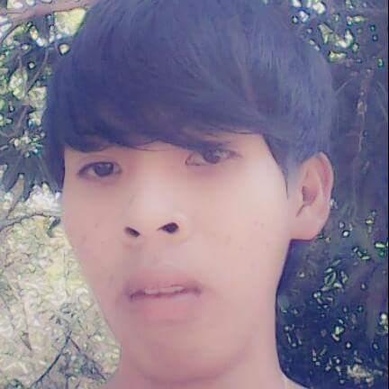 tùng