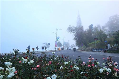 hẹn hò - le dinh trung-Nam -Tuổi:30 - Độc thân--Người yêu lâu dài