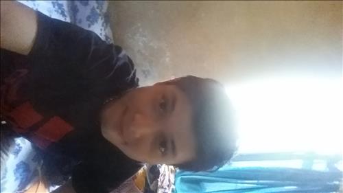 Trần Vũ