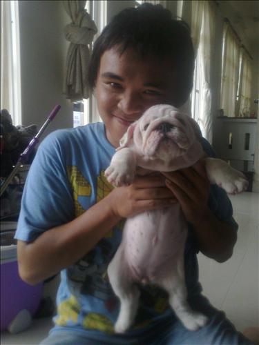 Trung Tuấn