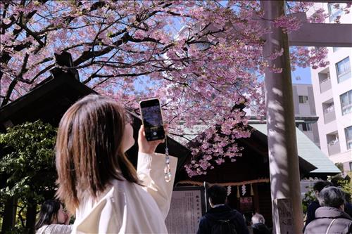 hẹn hò - Phương Phương-Lady -Age:30 - Single-TP Hồ Chí Minh-Friend - Best dating website, dating with vietnamese person, finding girlfriend, boyfriend.