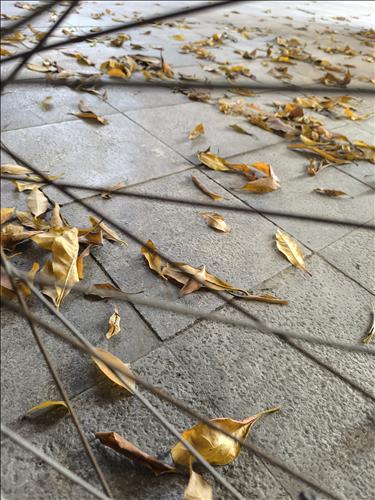 hẹn hò - Ngoc.-Nữ -Tuổi:33 - Độc thân-Hà Nội-Tìm bạn bè mới