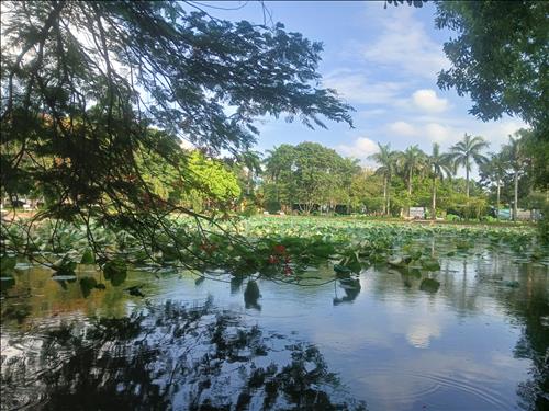 hẹn hò - Thu-Lady -Age:41 - Single-Hà Nội-Lover - Best dating website, dating with vietnamese person, finding girlfriend, boyfriend.