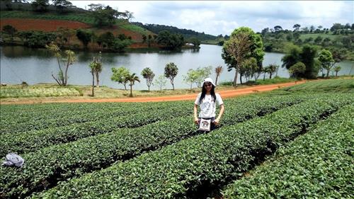 hẹn hò - Tre Trăm Đốt-Nữ -Tuổi:29 - Độc thân-TP Hồ Chí Minh-Người yêu lâu dài