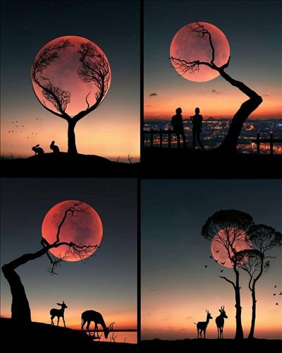 hẹn hò - Song Tử-Nữ -Tuổi:41 - Đã có gia đình-Bạc Liêu-Tìm bạn bè mới