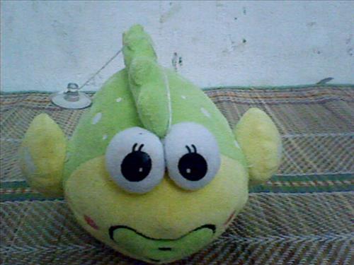 hẹn hò - Dinh Dinh-Nữ -Tuổi:34 - Độc thân-Hà Nội-Người yêu lâu dài