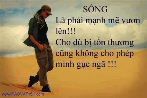 Sư tử