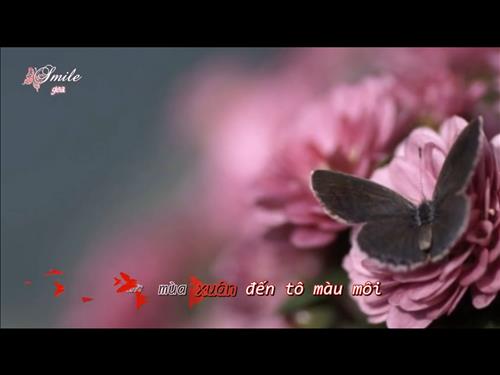 hẹn hò - Vân Linh-Nữ -Tuổi:34 - Độc thân-TP Hồ Chí Minh-Người yêu lâu dài