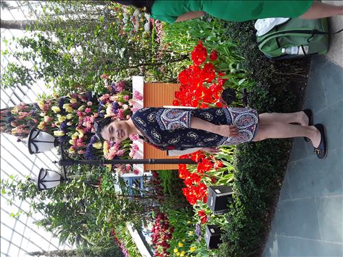 hẹn hò - hong phan-Lady -Age:60 - Divorce-Lâm Đồng-Lover - Best dating website, dating with vietnamese person, finding girlfriend, boyfriend.