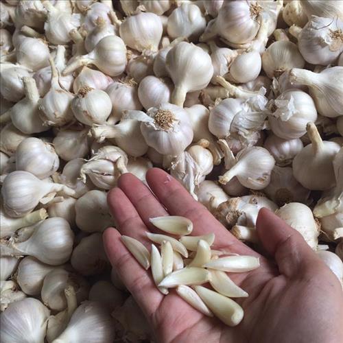 hẹn hò - Hi Vọng Ở Tương Lai-Nữ -Tuổi:35 - Đã có gia đình-TP Hồ Chí Minh-Tìm bạn bè mới
