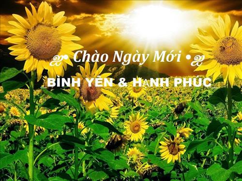 hẹn hò - Sunflower-Lady -Age:42 - Married-Hà Tĩnh-Confidential Friend - Best dating website, dating with vietnamese person, finding girlfriend, boyfriend.