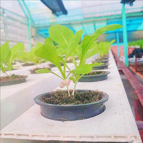 hẹn hò - Vy-Nữ -Tuổi:19 - Độc thân-TP Hồ Chí Minh-Người yêu lâu dài