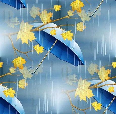 hẹn hò - Sol Rain HN-Nữ -Tuổi:40 - Độc thân-TP Hồ Chí Minh-Người yêu lâu dài