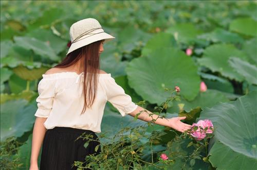 hẹn hò - Hải Băng-Nữ -Tuổi:30 - Độc thân-Hà Nội-Người yêu lâu dài