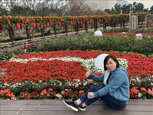 hẹn hò - Thục hạ-Nữ -Tuổi:27 - Độc thân-TP Hồ Chí Minh-Người yêu lâu dài