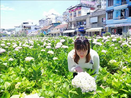 hẹn hò - Bằng lăng tím-Les -Tuổi:31 - Độc thân-Khánh Hòa-Người yêu lâu dài