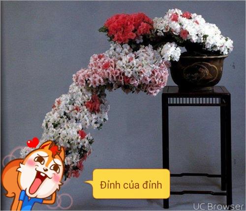 hẹn hò - Ngân Nguyễn-Nữ -Tuổi:32 - Độc thân-TP Hồ Chí Minh-Người yêu lâu dài