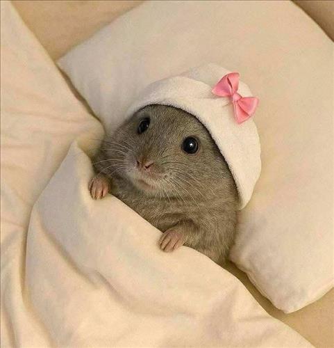 hẹn hò - Bình An-Nữ -Tuổi:31 - Đã có gia đình-Cần Thơ-Tìm bạn bè mới