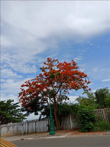 hẹn hò - Quynhhoa Le-Nữ -Tuổi:42 - Độc thân-TP Hồ Chí Minh-Tìm bạn bè mới