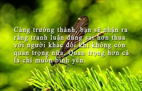 Thanh Hoa