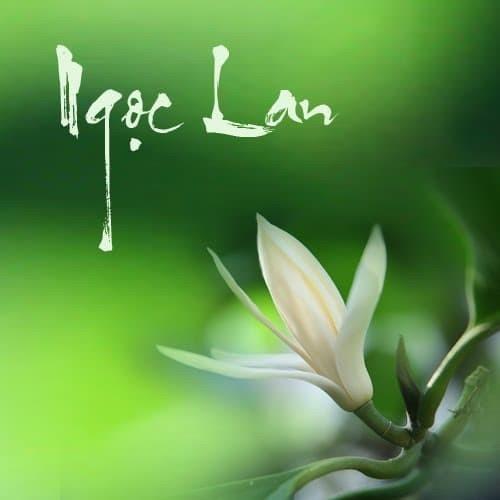 hẹn hò - Lan-Nữ -Tuổi:40 - Độc thân-TP Hồ Chí Minh-Người yêu lâu dài