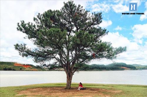 hẹn hò - Độc Mộc-Nữ -Tuổi:40 - Đã có gia đình-Hà Nội-Tìm bạn tâm sự