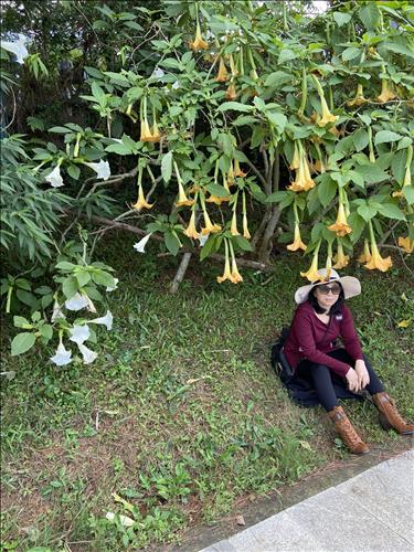 hẹn hò - Thanh Thanh-Nữ -Tuổi:60 - Độc thân-Đà Nẵng-Người yêu lâu dài