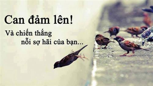 hẹn hò - Friendly-Nữ -Tuổi:35 - Độc thân-TP Hồ Chí Minh-Người yêu lâu dài