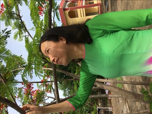 hẹn hò - hoasennho80-Nữ -Tuổi:42 - Độc thân-TP Hồ Chí Minh-Người yêu lâu dài
