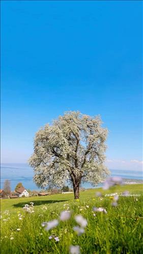 hẹn hò - Nguyen-Nữ -Tuổi:37 - Độc thân-TP Hồ Chí Minh-Người yêu lâu dài