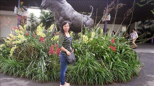 hẹn hò - Linh nguyen-Lady -Age:34 - Single-Thừa Thiên-Huế-Lover - Best dating website, dating with vietnamese person, finding girlfriend, boyfriend.