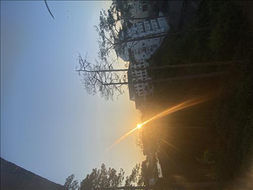 hẹn hò - Chân trời mơi-Nữ -Tuổi:46 - Độc thân-TP Hồ Chí Minh-Tìm bạn bè mới