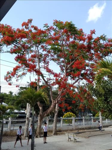 hẹn hò - Minh Vy-Nữ -Tuổi:30 - Đã có gia đình-Đồng Nai-Tìm bạn bè mới