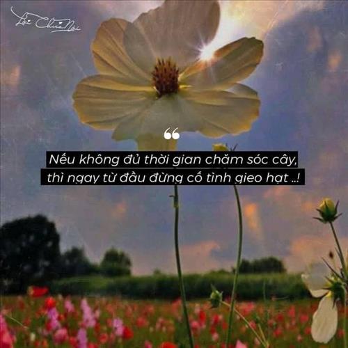 hẹn hò - NgânNgân -Nữ -Tuổi:33 - Ly dị-Hậu Giang-Người yêu lâu dài